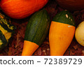Diverse assortment of pumpkins . Autumn harvest. 72389729