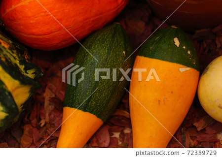 Diverse assortment of pumpkins . Autumn harvest. Diverse assortment of pumpkins . Autumn harvest. 72389729