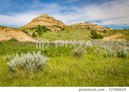 Theodore Roosevelt National Park North Unit 72390029