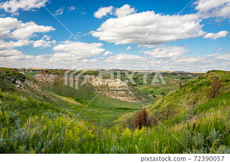 North Dakota Badlands North Dakota Badlands 72390057