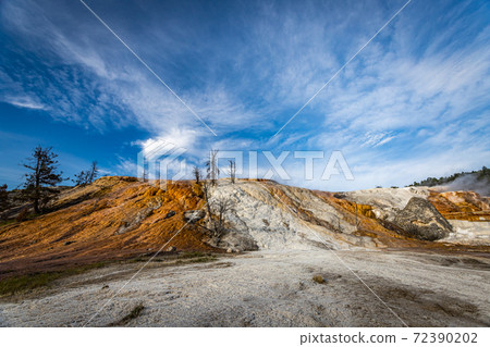 Mammoth Hot Spring Yellowstone 72390202