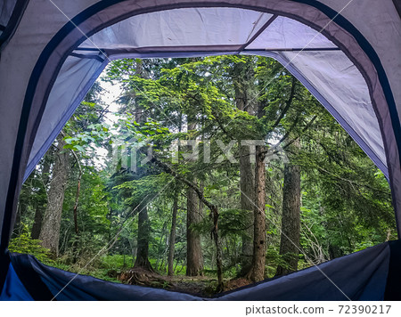 Campsite at Glacier National Park Campsite at Glacier National Park 72390217