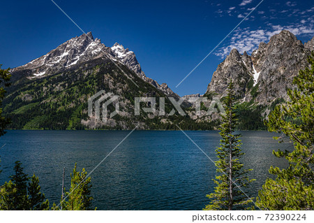Jenny Lake Grand Teton National Park 72390224