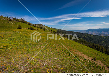 Heavens Gate Vista Heavens Gate Vista 72390253