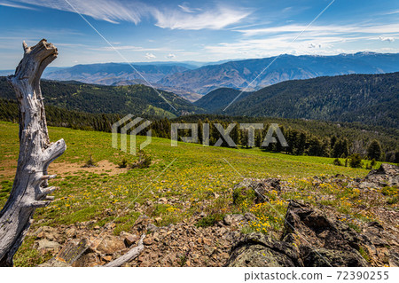 Heavens Gate Vista Heavens Gate Vista 72390255