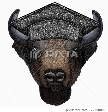 Vector bison head. Square academic cap, graduate cap, cap, mortarboard. Portrait of bull, buffalo. 72390802