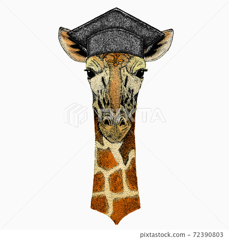 Vector giraffe portrait. Square academic cap, graduate cap, cap, mortarboard. African safari animal head. 72390803