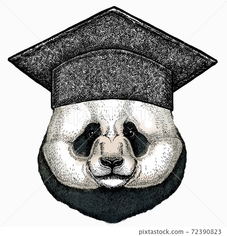 panda head cap