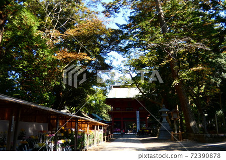鹿島神社 鹿島神社 72390878