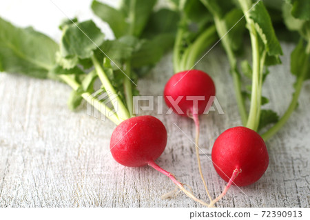 Radishes, red beetles and radishes 72390913