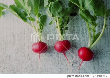 Radishes, red beetles and radishes 72390917