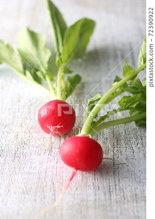 蘿蔔和紅色頭飾蘿蔔 72390922