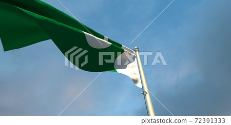 3d rendering of the national flag of the Pakistan 72391333