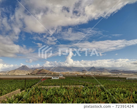 beautiful view of el teide Vulcan in Tenerife with banana green plantation - farmer and natural lifestyle in environment concept beautiful view of el teide Vulcan in Tenerife with banana green plantation - farmer and natural lifestyle in environment concept 72391424