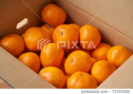 Mandarin oranges packed in a cardboard box 72391880