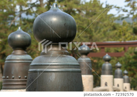 Arrangement of giboshi Arrangement of giboshi 72392570