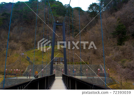 鬼怒立岩大吊橋的景色 鬼怒立岩大吊橋的景色 72393039