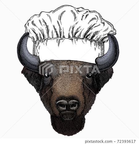 Vector Bison Head Portrait Of Bull Buffalo Stock Illustration 72393617 Pixta