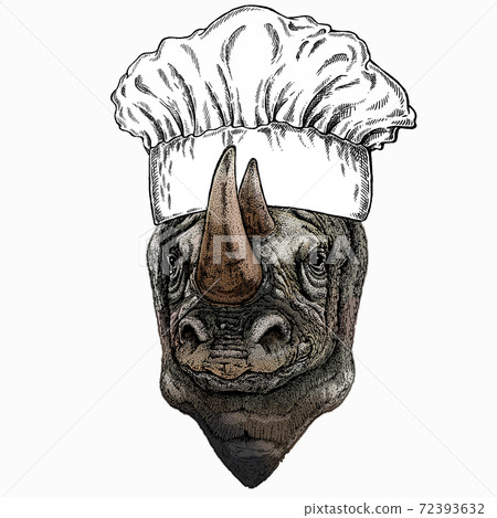 Vector portrait of rhinoceros, rhino. Chef cook hat. Restaurant logo. Wild african animal. Vector portrait of rhinoceros, rhino. Chef cook hat. Restaurant logo. Wild african animal. 72393632