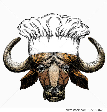 Buffalo Chef cook hat. Restaurant logo 