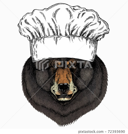Wild bear portrait. Chef cook hat. Restaurant logo. Animal head. 72393690
