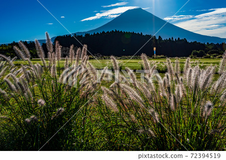 (Shizuoka Prefecture) The power of Asagiri Plateau and Diamond Fuji (Shizuoka Prefecture) The power of Asagiri Plateau and Diamond Fuji 72394519