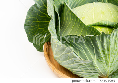 捲心菜 捲心菜 72394965