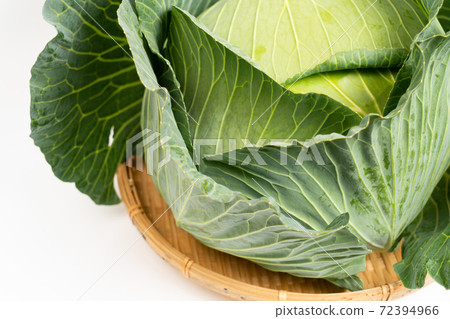 cabbage cabbage 72394966