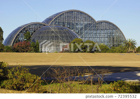 Yumenoshima Tropical Botanical Garden (winter) 72395532