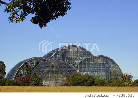 Yumenoshima Tropical Botanical Garden (winter) Yumenoshima Tropical Botanical Garden (winter) 72395533