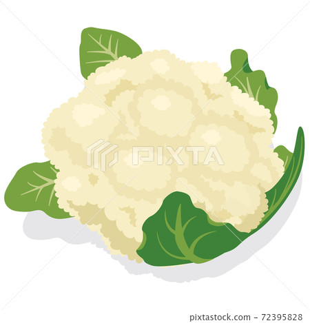 蔬菜插圖：花椰菜 食材、烹飪、材料 72395828