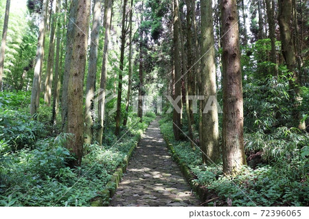 熊本市草間倉路 72396065