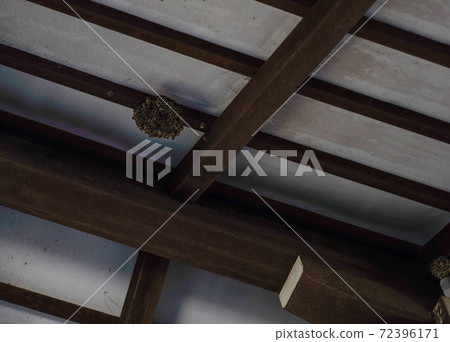 Honeycomb in a house 72396171