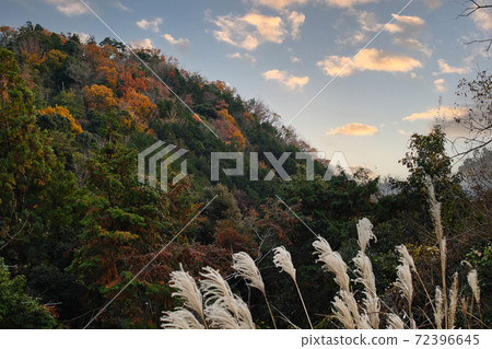 Mountain landscape photo Mountain landscape photo 72396645