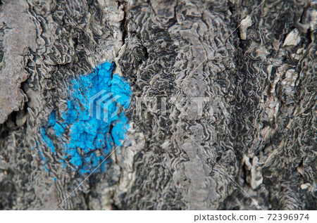 Awesome texture / wood Awesome texture / wood 72396974