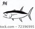 金槍魚 72396995