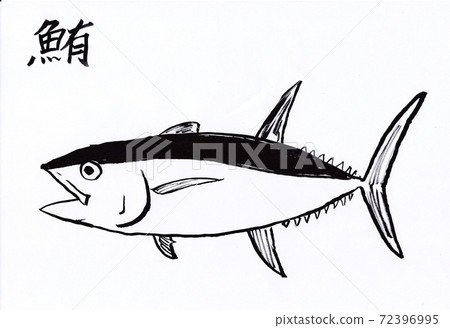 Tuna - Stock Illustration [72396995] - PIXTA