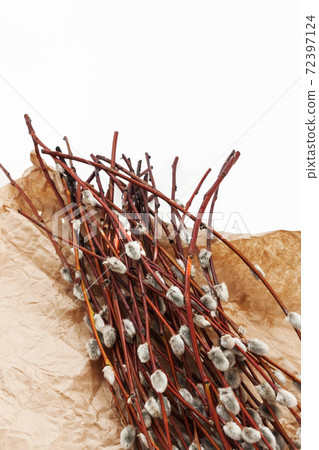 A bouquet of willow seals lies on old kraft paper, in retro style A bouquet of willow seals lies on old kraft paper, in retro style 72397124