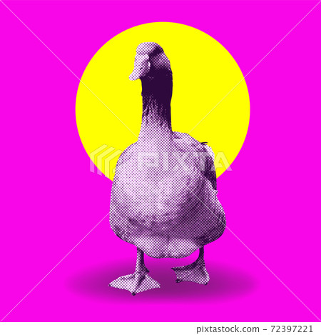Collage goose on yellow circle background Collage goose on yellow circle background 72397221