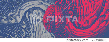 Engraving brain illustration with left and right cerebral hemispheres concept Engraving brain illustration with left and right cerebral hemispheres concept 72398805