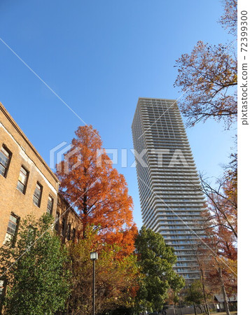 水杉和高層公寓以及廣島大學前科學學院一號樓 72399300