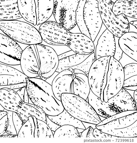 Seamless vector nuts pattern. Outline hand drawn illustration. Black and white food background. 72399618