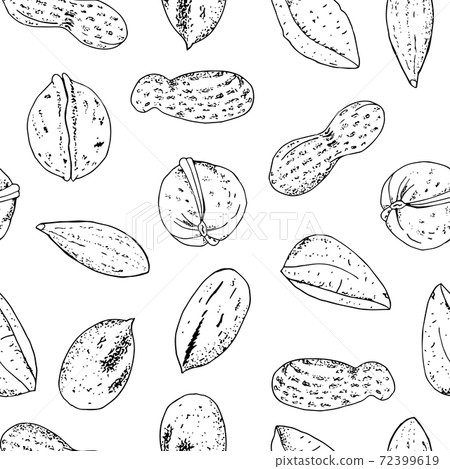 Seamless vector nuts pattern. Outline hand drawn illustration. Black and white food background isolate on white. 72399619