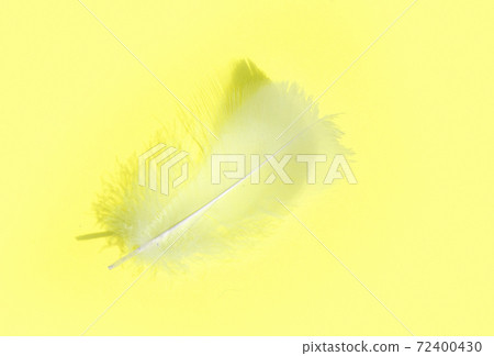 Colorful pattern made of feathers. Colorful pattern made of feathers. 72400430