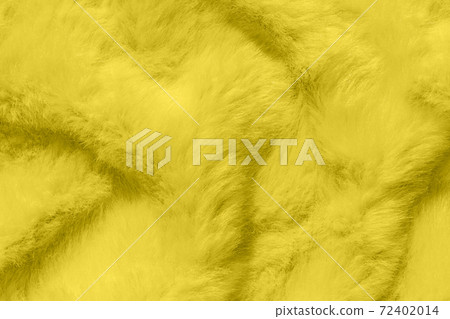 Fur texture in colors of the year 2021 illuminating yellow the ultimate gray. Fluffy fabric coat, textile surface. 72402014
