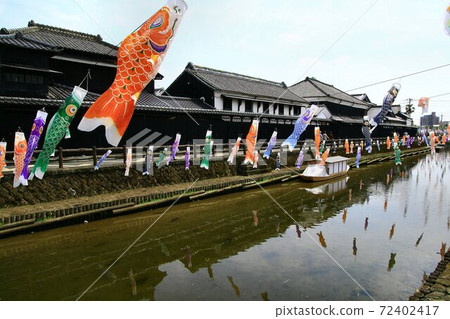 Kuranomachi "Tochigi" Carp streamer swimming in the Uzuma River 72402417