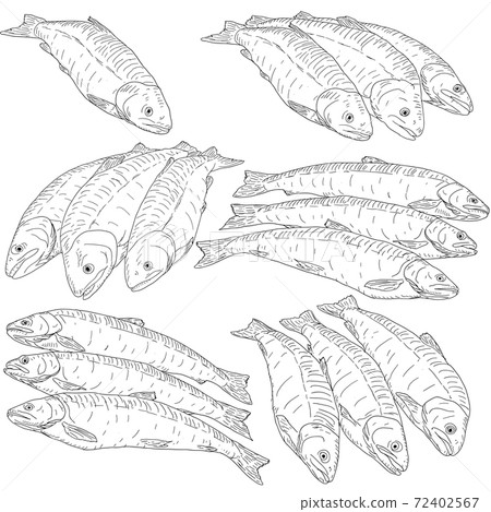 collection of natural marine fish sketch on white background collection of natural marine fish sketch on white background 72402567