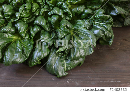 Tatsoi on a wood background Tatsoi on a wood background 72402883