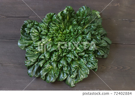 Tatsoi on a wood background Tatsoi on a wood background 72402884
