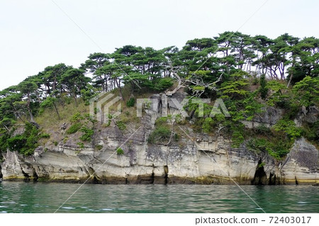 Higashi Matsushima Sagakei Higashi Matsushima Sagakei 72403017